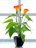 Artificial Flower Living Room Decorative Flowers Plastic Flowers Simulation Potted Plant Ornaments Fake Flower