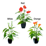 Artificial Flower Living Room Decorative Flowers Plastic Flowers Simulation Potted Plant Ornaments Fake Flower