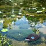 Floating Duck Decoy Simulation Hunting Duck Garden Pool Yard Lake Decoration 26x11.5cmFemale