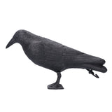 Simulation Plastic Crow Statue Hunting Bait Decoys Tool for Outdoor Garden Decoration In Australia - Darrahopens