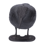 Simulation Plastic Crow Statue Hunting Bait Decoys Tool for Outdoor Garden Decoration In Australia - Darrahopens