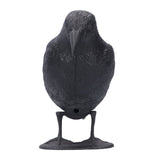 Simulation Plastic Crow Statue Hunting Bait Decoys Tool for Outdoor Garden Decoration In Australia - Darrahopens