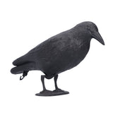 Simulation Plastic Crow Statue Hunting Bait Decoys Tool for Outdoor Garden Decoration In Australia - Darrahopens