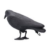 Simulation Plastic Crow Statue Hunting Bait Decoys Tool for Outdoor Garden Decoration In Australia - Darrahopens