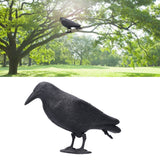 Simulation Plastic Crow Statue Hunting Bait Decoys Tool for Outdoor Garden Decoration In Australia - Darrahopens