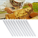 10Pcs Bee Royal Jelly Cups Sheet Bee Rearing Breeding Equipment Beekeeping Accessory