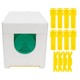 Queen Bee Mating Box Pollination Box Foam Frames Beekeeping Tool Beekeeping Equipment In Australia - Darrahopens