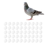 50pcs Plastic Fake Pigeon Egg Solid Fake Egg Simulation Hatching Breeding Supplies for Birds