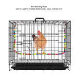 Bird Standing Rope Flexible Colorful Swing Cage Hanging Chewing Climbing Toys Supplies
