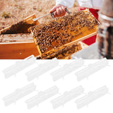 10Pcs Beehive Beetles Trap Catcher Broodlings Catching Tools Beekeeping Supplies