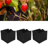 3Pcs Plant Growing Bag with Handles Black Square Felt Garden Vegetable Grow Container19.5x19.5x20cm