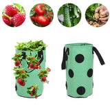 12 Holes Strawberry Planter Bag with Handles Portable Felt Plant Growing Bag for GardenGreen 20x35cm