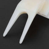20Pcs Plastic Bird Fruit Fork Lightweight Pet Parrots Toy Bird Supplies Convenient Feeder