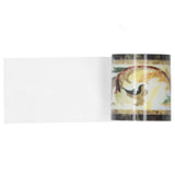 Wallpaper Border Trim Self Adhesive Sticker Decor for Living Room Kitchen Bathroom 5x500cm In Australia - Darrahopens