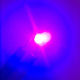 25Pcs 0.5W 5V High Power LED Lamp Bead Light Source Chip with Aluminum PlateUV Purple Light: 395-400NM