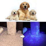 Pet Urine Detector Light Handheld UV Black Light Flashlight Portable Dog Cat Urine Carpet Detec