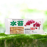 Garden Supplies Sphagnum Moss Moisturizing Nutrition Organic Fertilizer For Phalaenopsis Orchid In Australia - Darrahopens