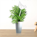 House Plants Flowers Automatic Self Watering Devices Clear Glass Water Feeder Bird Shape