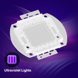 50W UV395-400Nm LED Ultraviolet Lights for Scanning Printer