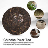 Chinese Yunnan Raw Cake Pu er Tea Healthy Pu'erh Gift for Yourself Family Friends 330g