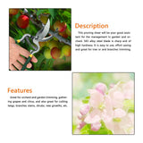 1Pc Sturdy Fruit Tree Bonsai Gardening Pruning Shear Pruner Garden Scissors Grafting Tools In Australia - Darrahopens