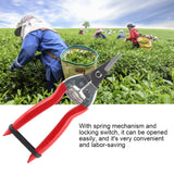 1Pc Sturdy Fruit Tree Bonsai Gardening Pruning Shear Garden Scissors Pruner Tool Curved Blade In Australia - Darrahopens