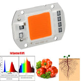 1Pc 50W Full Spectrum Warm/White Led COB Chip Grow Light Growth Lamp Garden Hydroponic Plant