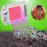 1Pc 50W Full Spectrum Warm/White Led COB Chip Grow Light Growth Lamp Garden Hydroponic Plant In Australia - Darrahopens