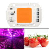 1Pc 50W Full Spectrum Warm/White Led COB Chip Grow Light Growth Lamp Garden Hydroponic Plant