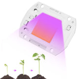 Full Spectrum Led COB Chip Grow Light Growth Lamp Garden Hydroponic Plant (110V/20W)