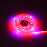 5:1 Plant Growth LED Strip Lights High Luminous Efficiency Flower Supplementary Optical Source In Australia - Darrahopens