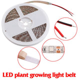 5:1 Plant Growth LED Strip Lights High Luminous Efficiency Flower Supplementary Optical Source