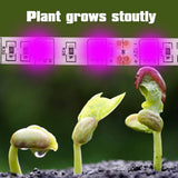 5:1 Plant Growth LED Strip Lights High Luminous Efficiency Flower Supplementary Optical Source