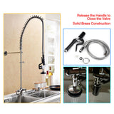Commercial Kitchen Hotel Rinse Spray Head Faucet Tap Sprayer High Pressure Flexible Hose