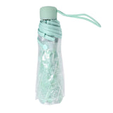 1PC Transparent Folding Umbrella Fashionable Princess Umbrella Cherry Blossom # Light Green In Australia - Darrahopens
