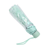 1PC Transparent Folding Umbrella Fashionable Princess Umbrella Cherry Blossom # Light Green In Australia - Darrahopens