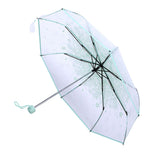 1PC Transparent Folding Umbrella Fashionable Princess Umbrella Cherry Blossom # Light Green