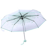1PC Transparent Folding Umbrella Fashionable Princess Umbrella Cherry Blossom # Light Green