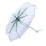 1PC Transparent Folding Umbrella Fashionable Princess Umbrella Cherry Blossom # Light Green In Australia - Darrahopens