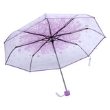 1PC Transparent Folding Umbrella Fashionable Princess Umbrella Cherry Blossom # Light Purple In Australia - Darrahopens
