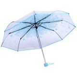 1PC Transparent Folding Umbrella Fashionable Princess Umbrella Cherry Blossom # Blue In Australia - Darrahopens