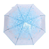1PC Transparent Folding Umbrella Fashionable Princess Umbrella Cherry Blossom # Blue In Australia - Darrahopens