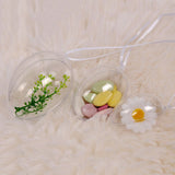 10Pcs Transparent Hollow Oval Ornaments Balls Plastic Egg Shaped Balls Preserved Flower Easter Decoration In Australia - Darrahopens