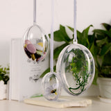 10Pcs Transparent Hollow Oval Ornaments Balls Plastic Egg Shaped Balls Preserved Flower Easter Decoration In Australia - Darrahopens