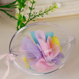 10Pcs Transparent Hollow Oval Ornaments Balls Plastic Egg Shaped Balls Preserved Flower Easter Decoration