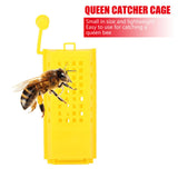 10Pcs Plastic Queen Bee Cages Transporting Catcher Beekeeper Beekeeping Tool In Australia - Darrahopens