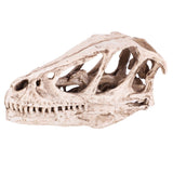 Resin Dinosaur Skull Model Simulated Animal Skeleton Home Office Decor Craft Teaching Prop In Australia - Darrahopens