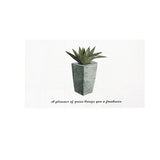 Cartoon and Transparent Self Adhesive Kitchen Oil Resistant Sticker Wall Tile Decals (Plants) In Australia - Darrahopens