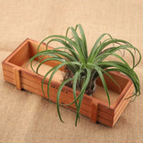Vintage Wood Flower Planter Succulent Pot Rectangle Box for Home Desktop Storage Tray In Australia - Darrahopens