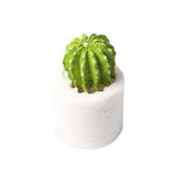 3D DIY Cactus Shape Cake Baking Cookie Chocolate Sugar Paste Food Silicone Mold Bakeware In Australia - Darrahopens